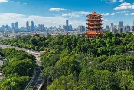 456亚洲视频在线成人网-探索亚洲文化与网络视频的多元视角
