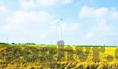 国产麻豆剧果冻传媒app-国产麻豆剧与果冻传媒app的观剧契机与内容探讨