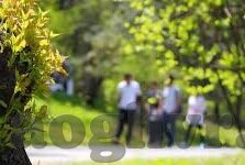 igao糖心vlog-纪实生活片段，IGAO糖心Vlog背后的温馨与坚持