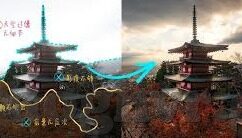 麻豆传谋 大象传媒-麻豆传谋与大象传媒，数字时代的内容创新与文化融合