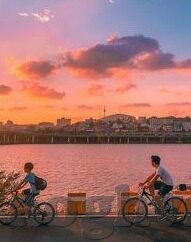 麻豆影视app免费版-麻豆影视，探索免费观影的新天地