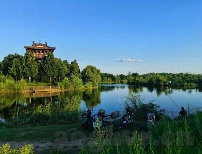 欧美成人电影视频-欧美成人电影视频，文化、艺术与个人选择的交汇