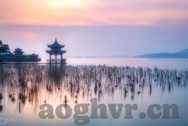 糖心官网入口txvlog-解锁糖心文化新视界，TXVlog的探索之旅